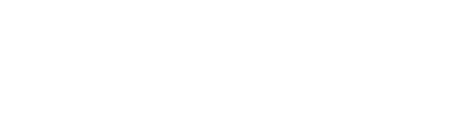 Connect Xperience logo with bug